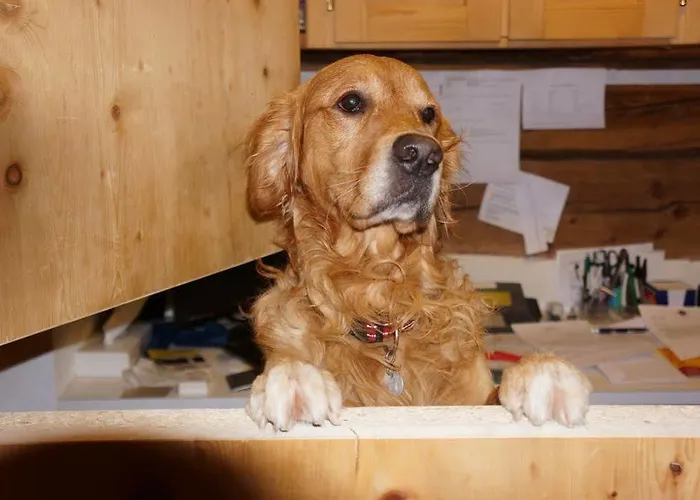 Schraemli's Lengmatta 3*